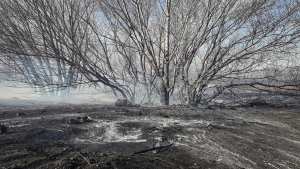 Un feroz incendio arrasó con 12 hectáreas en Cervantes