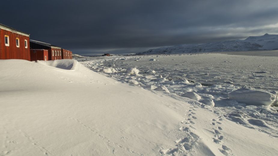 La base antártica tiene una rica distribución de fauna marítima. Foto: Télam.-