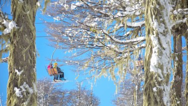 Rumbo a las alturas en el bosque nevado de Chapelco, el centro de esquí que abrió el domingo. Foto: Patricio Rodríguez.