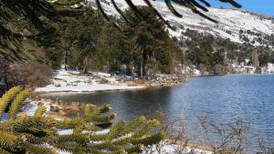 Murió otro nene por la caída de una rama, por el temporal de nieve en Neuquén