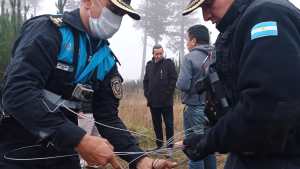 Gran despliegue policial en tierras de la Comarca Andina, afectadas por el incendio