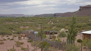 Sauzal Bonito, la localidad  que convive con la actividad sísmica. Foto: Florencia Salto