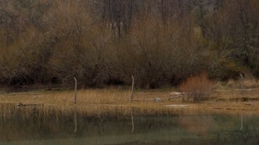El sendero llevará el nombre de Andrés Quinteros, en homenaje al joven que desapareció en esa zona del lago en diciembre pasado. Foto: archivo