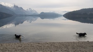 Avanza la idea de trazar un sendero en la costa norte del lago Moreno en Bariloche