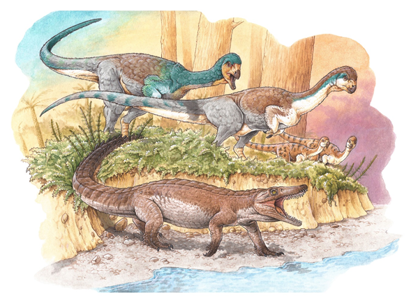 El hallazgo es de un reptil prehistórico, ancestro de los cocodrilos modernos que habitó la Patagonia hace aproximadamente 148 millones de años.
Ilustración: Gabriel Lio