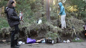 Rescatan plantas nativas de la obra de asfalto en Colonia Suiza