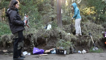 En una mañana, rescataron 200 plantines. Foto: gentileza Eugenia Rodríguez