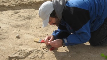 El ejemplar fue trasladado al museo de Miramar, donde se hallan otros restos de similar edad. Foto: gentileza.-