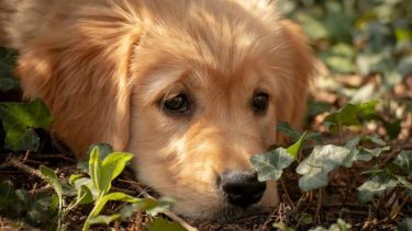 Cuesta iniciar la semana, pero lo importante es que hoy veremos el sol.-