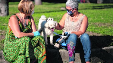 Las mascotas son una compañía constante. Sus muestras de afecto nos pueden acompañar en un momento difícil.