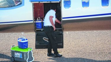 El avión sanitario donde se trasladan los órganos, una de las partes centrales del proceso. Foto: Andrés Maripe/Archivo