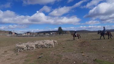 En algunas zonas, la sequía comienza a sentirse. Foto: José Mellado.