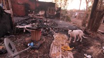 Imagen de Perdió su casa y su trabajo tras un incendio en Valentina norte rural, en Neuquén