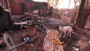 Perdió su casa y su trabajo tras un incendio en Valentina norte rural, en Neuquén