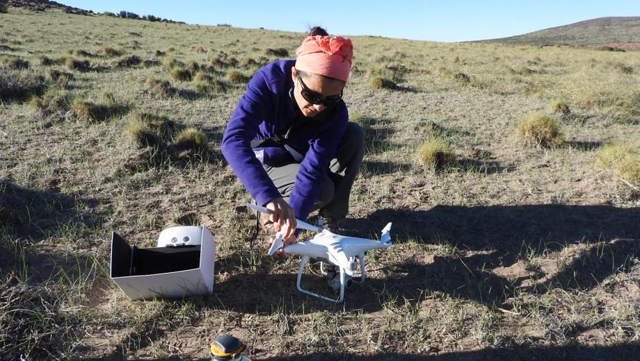 Los drones suelen emplearse, en muchas ocasiones, para la investigación científica. Foto: archivo