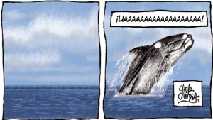 «Avistaje»: las ballenas en Las Grutas y Puerto Madryn en la tira 396 de Viajeros
