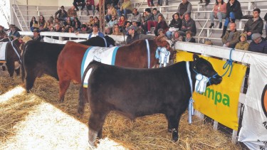 El primer encuentro será en Río Colorado en septiembre. Foto archivo.