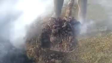 Al cavar sale humo. El campo ubicado en cercanías de Junín de los Andes tiene sectores con agua. Foto: Captura video.