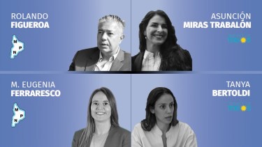 PASO 2021: el MPN, el Frente de Todos y la izquierda tendrán internas en Neuquén