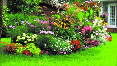 Cada tarea tiene su momento en el jardín
