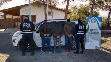 El procedimiento se realizó en el control fitosanitario de la ruta Provincial N° 6. Foto: gentileza.