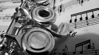 El grupo será en forma de cuarteto, con los siguientes instrumentos: Teclado, Flauta, Violín y Violonchelo.
