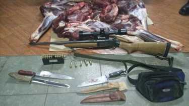 Los infractores trasladaban el ciervo faenado oculto en un Fiat Siena. (foto gentileza Brigada Rural)