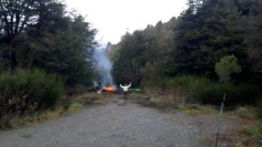 La mujer fue atacada cuando fue a inspeccionar una columna de humo en el bosque.