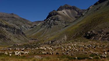 Campesinos piden que se regularicen las tierras que trabajan. Foto: Archivo