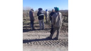 Encuentran 43 trabajadores sin registrar en una bodega de El Chañar