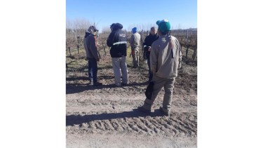 Los inspectores constatan las condiciones d elos trabajadores en la bodega. Foto: Facebook sanpatriciomedios