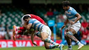 Los Pumas empataron con Gales en un partidazo