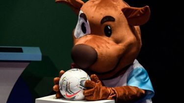 Pibe se hizo viral al celebrar con la selección Argentina, en el Maracaná.-