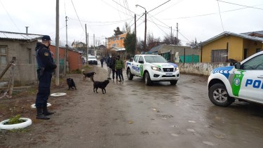 Desde las 10.30 llevan adelante un rastrillaje en inmediaciones de la casa de la mujer. Foto: gentileza