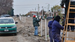 Se realizó un censo de árboles en Viedma y lanza un nuevo plan de forestación