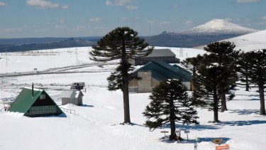 Primeros Pinos se convertirá en la primera Reserva Natural de Defensa en Neuquén. Foto: Gentileza Municipalidad de Zapala