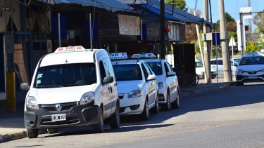 Con una ordenanza se busca regular los separadores entre choferes y pasajeros en los taxis.