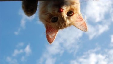 Las nubes colaborarán poco, este lunes, para aplacar el calor. Foto: archivo.-