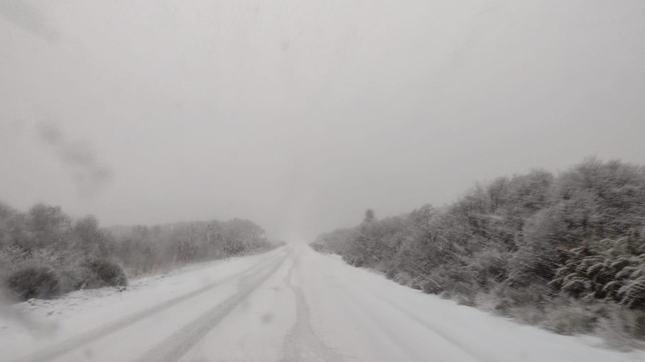 Piden circular con extrema precaución por las nevadas en la ruta 40 ...