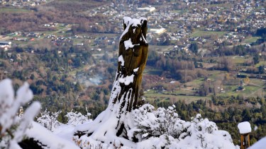El Bosque Tallado, una belleza para visitar en el cerro Piltriquitrón. Foto: Alfredo Leiva / Archivo