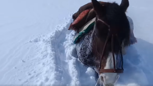 «¡Mirá hasta dónde llega la nieve!»: 8 horas a caballo del puesto a Varvarco en el norte neuquino