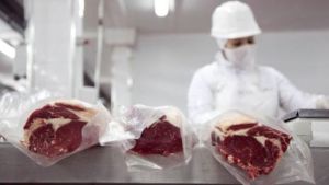 El Gobierno Nacional prorrogó otros dos meses el cepo a la carne