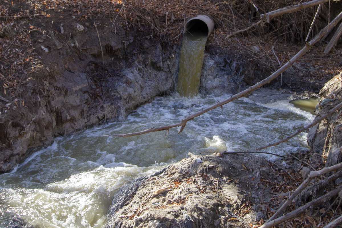 Baja el caudal de los ríos y deja al descubierto los graves problemas de  contaminación