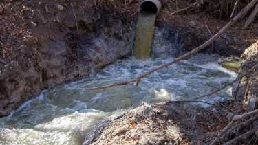 Uno de los sectores donde se verificó la contaminación del río. Foto: Juan Thomes.