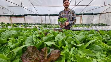 La experiencia del cultivo hidropónico en Cutral Co (Foto: Andrea Vazquez)