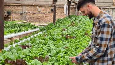 Cutral Co Cultivo Hidropónico (Foto: Andrea Vazquez)