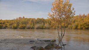 Asoman algunas tormentas este viernes en la región: mirá el pronóstico
