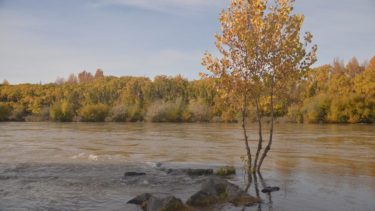 Asoman algunas tormentas este viernes en la región: mirá el pronóstico