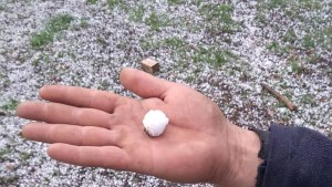Video | Cayó granizo en el Valle Medio y afectó a productores