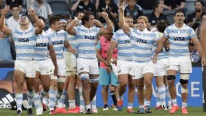 Los Pumas tienen en suspenso sus próximos partidos del Rugby Championship